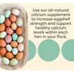 Show in main carousel: Scratch and Peck Feeds Chicken & Duck Essential Calcium Supplement Limestone, 8-lb pouch slide 6 of 8