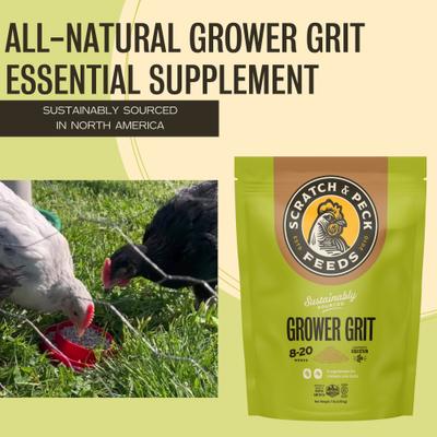 Show full view: Scratch and Peck Feeds Chicken & Duck Essential Supplement Grower Grit, 7-lb pouch slide 3 of 9