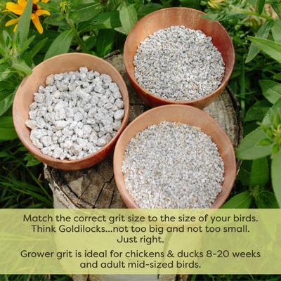 Show full view: Scratch and Peck Feeds Chicken & Duck Essential Supplement Grower Grit, 7-lb pouch slide 5 of 9