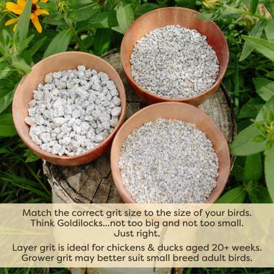 Show full view: Scratch and Peck Feeds Chicken & Duck Essential Supplement Layer Grit, 7-lb pouch slide 6 of 9