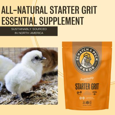 Show full view: Scratch and Peck Feeds Chicken & Duck Essential Supplement Starter Grit, 7-lb pouch slide 3 of 9
