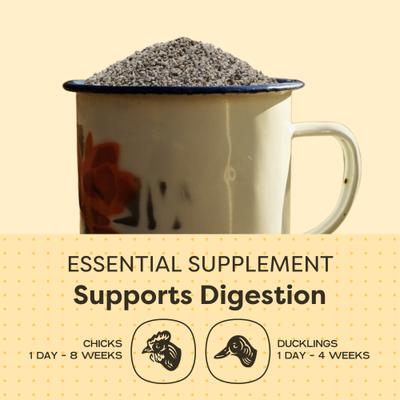 Show full view: Scratch and Peck Feeds Chicken & Duck Essential Supplement Starter Grit, 7-lb pouch slide 4 of 9