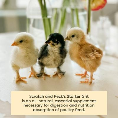 Show full view: Scratch and Peck Feeds Chicken & Duck Essential Supplement Starter Grit, 7-lb pouch slide 5 of 9