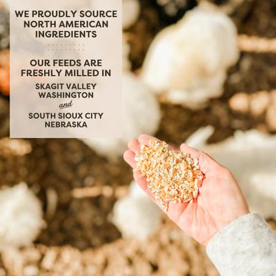 Show full view: Scratch and Peck Feeds Chicken & Duck Supplemental Treat Organic Cracked Corn, 40-lb pouch slide 5 of 10