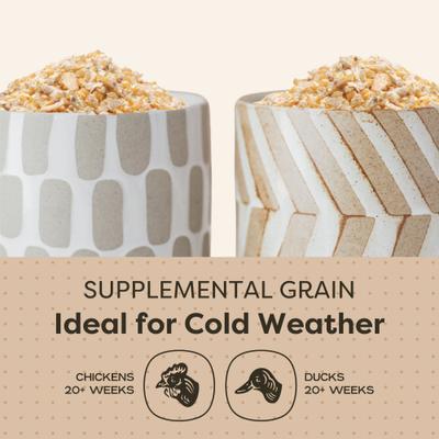 Show full view: Scratch and Peck Feeds Chicken & Duck Supplemental Treat Organic Cracked Corn, 8-lb pouch slide 4 of 10