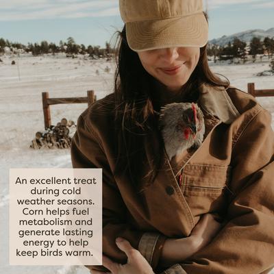 Show full view: Scratch and Peck Feeds Chicken & Duck Supplemental Treat Organic Scratch & Corn, 25-lb bag slide 5 of 10