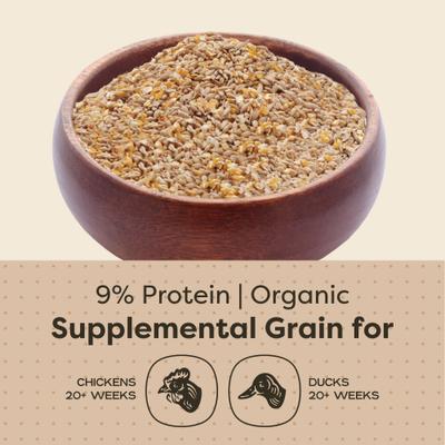 Show full view: Scratch and Peck Feeds Chicken & Duck Supplemental Treat Organic Scratch & Corn, 40-lb bag slide 4 of 10