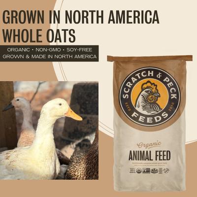 Show full view: Scratch and Peck Feeds Chicken & Duck Supplemental Treat Organic Whole Oats, 40-lb bag slide 3 of 9