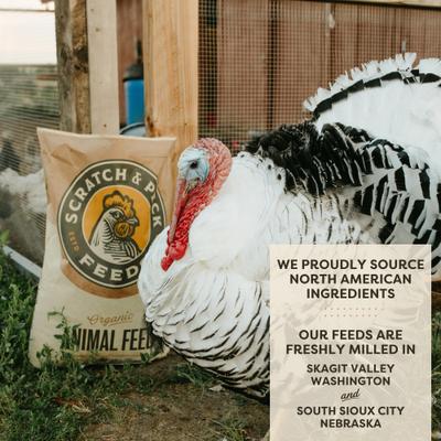 Show full view: Scratch and Peck Feeds Chicken & Duck Supplemental Treat Organic Whole Oats, 40-lb bag slide 5 of 9