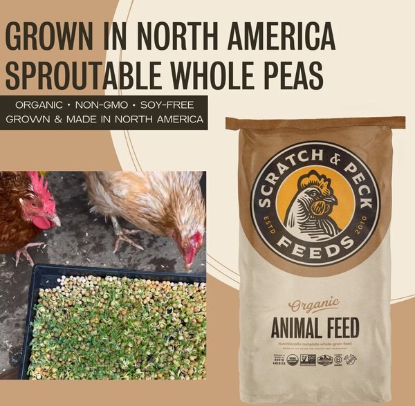 Scratch and Peck Feeds Chicken & Duck Supplemental Treat Organic Cracked Corn