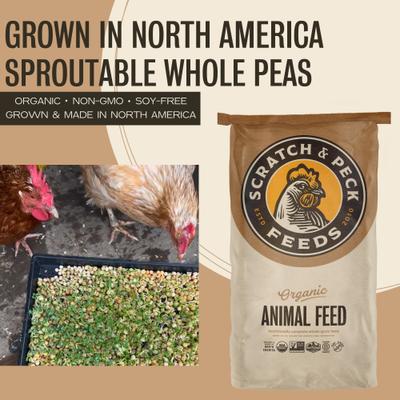 Show full view: Scratch and Peck Feeds Chicken & Duck Supplemental Treat Organic Whole Peas, 40-lb bag slide 3 of 10