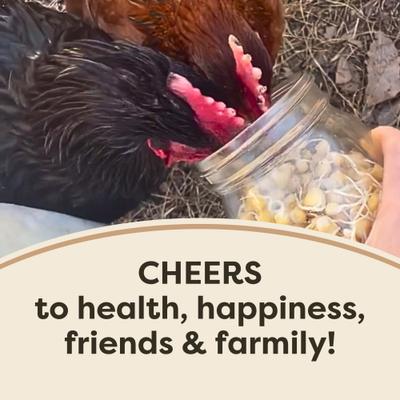 Show full view: Scratch and Peck Feeds Chicken & Duck Supplemental Treat Organic Whole Peas, 40-lb bag slide 7 of 10