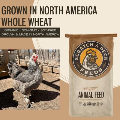 Show full view: Scratch and Peck Feeds Chicken & Duck Supplemental Treat Organic Whole Wheat, 40-lb bag slide 3 of 9