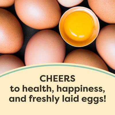 Show full view: Scratch and Peck Feeds Organic Chicken & Duck Feed 16% Layer Mash, 10-lb bag slide 7 of 9