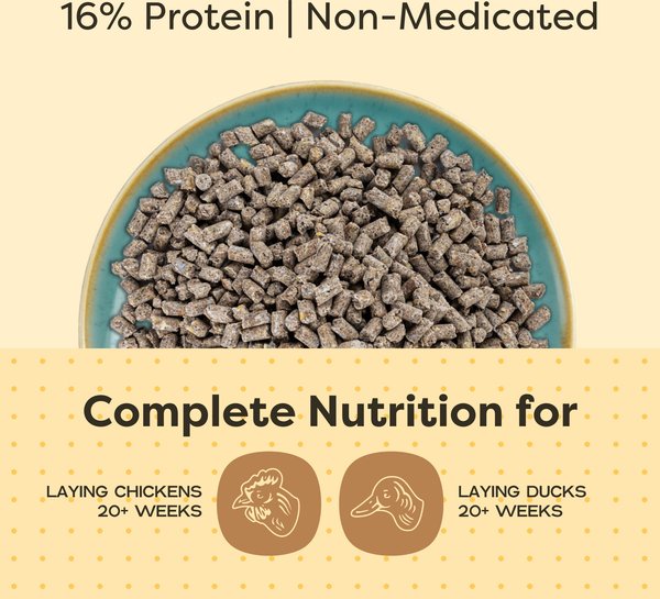 Show full view: Scratch and Peck Feeds Organic Chicken & Duck Feed 16% Layer Pellets, 25-lb bag slide 4 of 10