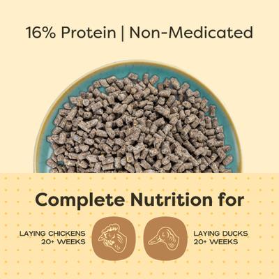 Show full view: Scratch and Peck Feeds Organic Chicken & Duck Feed 16% Layer Pellets, 25-lb bag slide 4 of 10