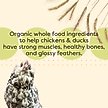 Show in main carousel: Scratch and Peck Feeds Organic Chicken & Duck Feed 17% Grower Crumbles, 25-lb bag slide 6 of 10