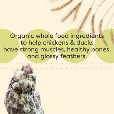 Show full view: Scratch and Peck Feeds Organic Chicken & Duck Feed 17% Grower Crumbles, 25-lb bag slide 6 of 10