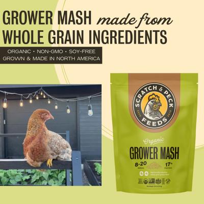 Show full view: Scratch and Peck Feeds Organic Chicken & Duck Feed 17% Grower Mash, 10-lb bag slide 3 of 9