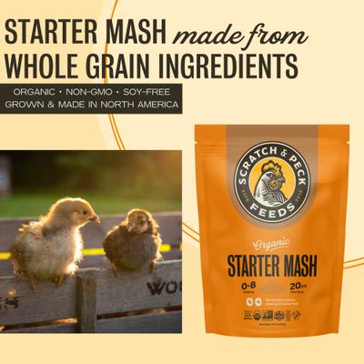 Show full view: Scratch and Peck Feeds Organic Chicken & Duck Feed 20.5% Starter Mash, 10-lb bag slide 3 of 9