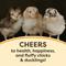 Show in main carousel: Scratch and Peck Feeds Organic Chicken & Duck Feed 20.5% Starter Mash, 10-lb bag slide 7 of 9