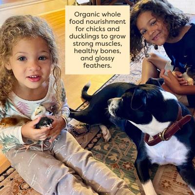 Show full view: Scratch and Peck Feeds Organic Chicken & Duck Feed 20.5% Starter Mash, 40-lb bag slide 6 of 10