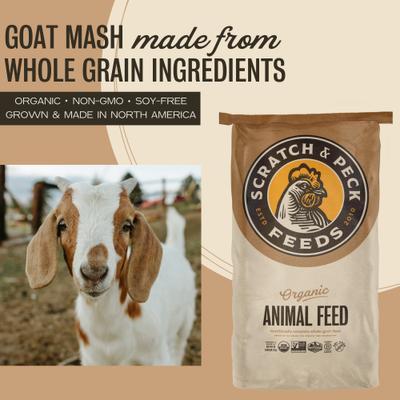 Show full view: Scratch and Peck Feeds Organic Goat Feed Whole Grain Mash, 40-lb bag slide 3 of 10