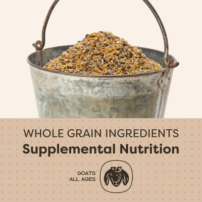 Show full view: Scratch and Peck Feeds Organic Goat Feed Whole Grain Mash, 40-lb bag slide 4 of 10