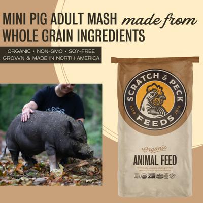 Show full view: Scratch and Peck Feeds Organic Mini Pig Adult Feed Whole Grain Mash, 25-lb bag slide 3 of 10