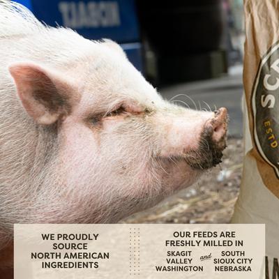 Show full view: Scratch and Peck Feeds Organic Mini Pig Adult Feed Whole Grain Mash, 25-lb bag slide 5 of 10
