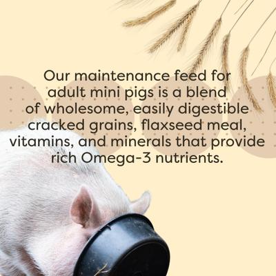 Show full view: Scratch and Peck Feeds Organic Mini Pig Adult Feed Whole Grain Mash, 25-lb bag slide 6 of 10