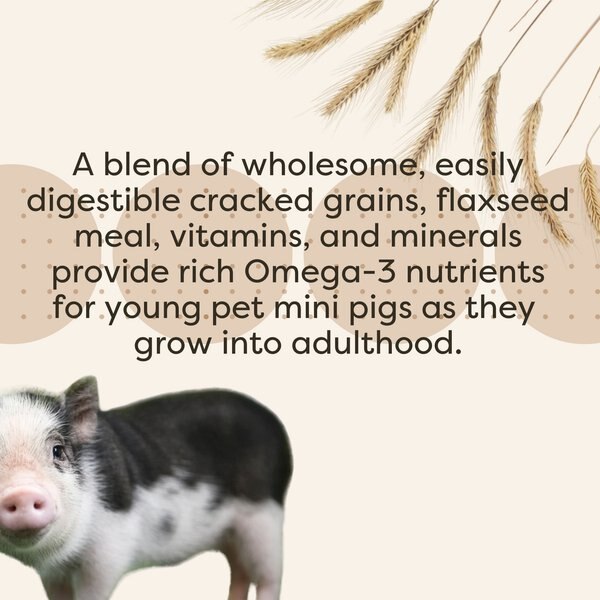 Scratch and Peck Feeds Organic Mini Pig Young Feed Whole Grain Mash