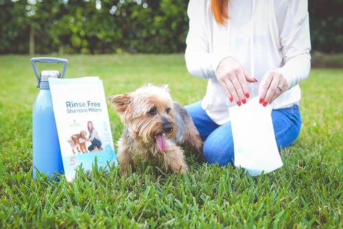 Show full view: Scrubby Instant Bath Rinse Free Dog Shampoo Mittens, 5 count slide 4 of 11