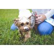 Show in main carousel: Scrubby Instant Bath Rinse Free Dog Shampoo Mittens, 5 count slide 8 of 11