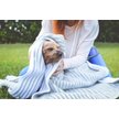 Show in main carousel: Scrubby Instant Bath Rinse Free Dog Shampoo Mittens, 5 count slide 9 of 11
