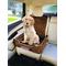 Show in main carousel: Seat Armour Petbed2Go Pet Bed & Car Seat Cover, Tan, Small slide 1 of 3