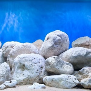 Seaview Aquascape Reversible Background Aquarium Accessory, Aquagarden/Bright Stone, 12X24-in