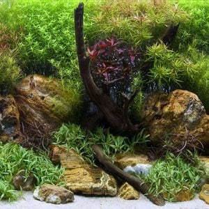 Seaview Aquascape Reversible Background Aquarium Accessory, Aquagarden/Bright Stone, 12X24-in