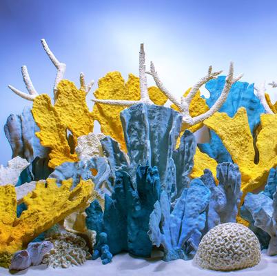 Show full view: Seaview Aquascape Reversible Background Aquarium Accessory, Coral Bliss/Luscia Reef, 12X24-in slide 2 of 3