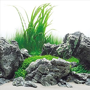 Seaview Aquascape Reversible Background Aquarium Accessory, Greenspike/Amazonia, 18X36-in