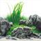 Show in main carousel: Seaview Aquascape Reversible Background Aquarium Accessory, Greenspike/Amazonia, 18X36-in slide 2 of 3