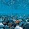 Show in main carousel: Seaview Aquascape Reversible Background Aquarium Accessory, River Rock/Sea of Green, 12X24-in slide 1 of 3