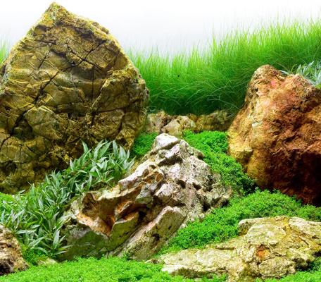 Show full view: Seaview Aquascape Reversible Background Aquarium Accessory, River Rock/Sea of Green, 12X24-in slide 2 of 3