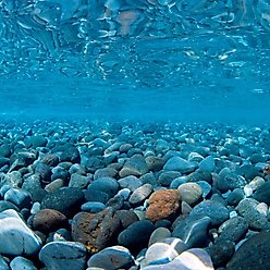 Seaview Aquascape Reversible Background Aquarium Accessory, River Rock/Sea of Green, 24X48-in