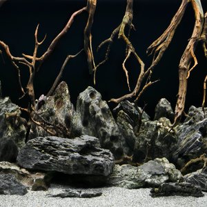 Seaview Aquascape Reversible Background Aquarium Accessory, Seascape/Natural Mystic, 18X36-in