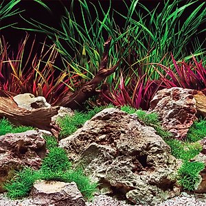 Seaview Aquascape Reversible Background Aquarium Accessory, Slateways/Aquawild, 18X36-in