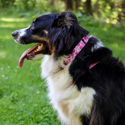 Show full view: SecureAway Dog Flea Collar Protector, 10-14-in, Black slide 5 of 10