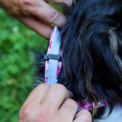 Show full view: SecureAway Dog Flea Collar Protector, 10-14-in, Black slide 6 of 10