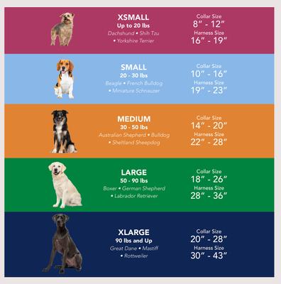 Show full view: SecureAway Dog Flea Collar Protector, 10-14-in, MultiPaw slide 8 of 9