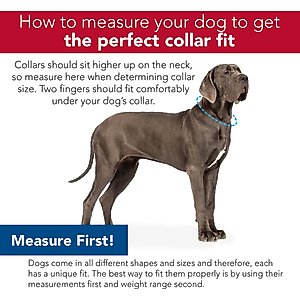SecureAway Dog Flea Collar Protector, 14-20-in, MultiPaw